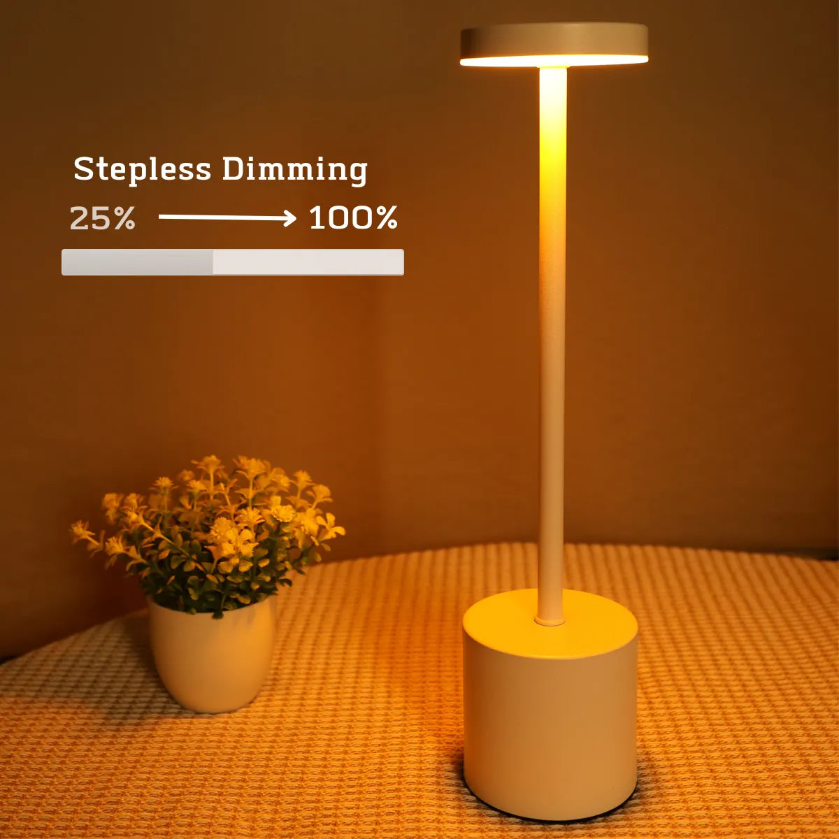 LED Rechargeable Touch Metal Table Lamp